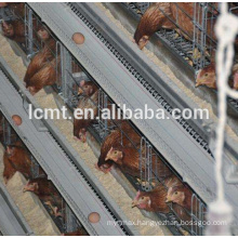 Chicken Use Automatic Poultry Farm Equipment